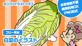 【フリー素材】白菜のイラスト