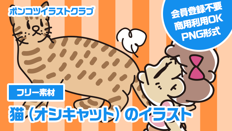 【フリー素材】猫（オシキャット）のイラスト