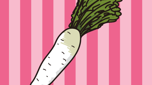 大根のイラスト【色、背景あり】PNG