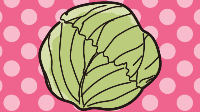 キャベツのイラスト【色、背景あり】PNG