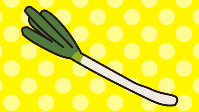 長ネギのイラスト【色、背景あり】PNG