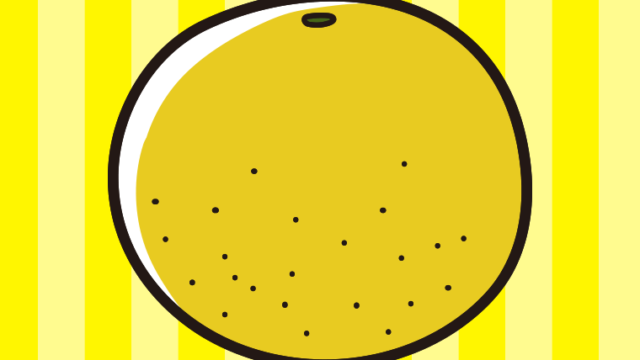 グレープフルーツのイラスト【色、背景あり】PNG