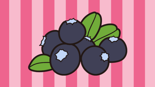 ブルーベリーのイラスト【色、背景あり】PNG