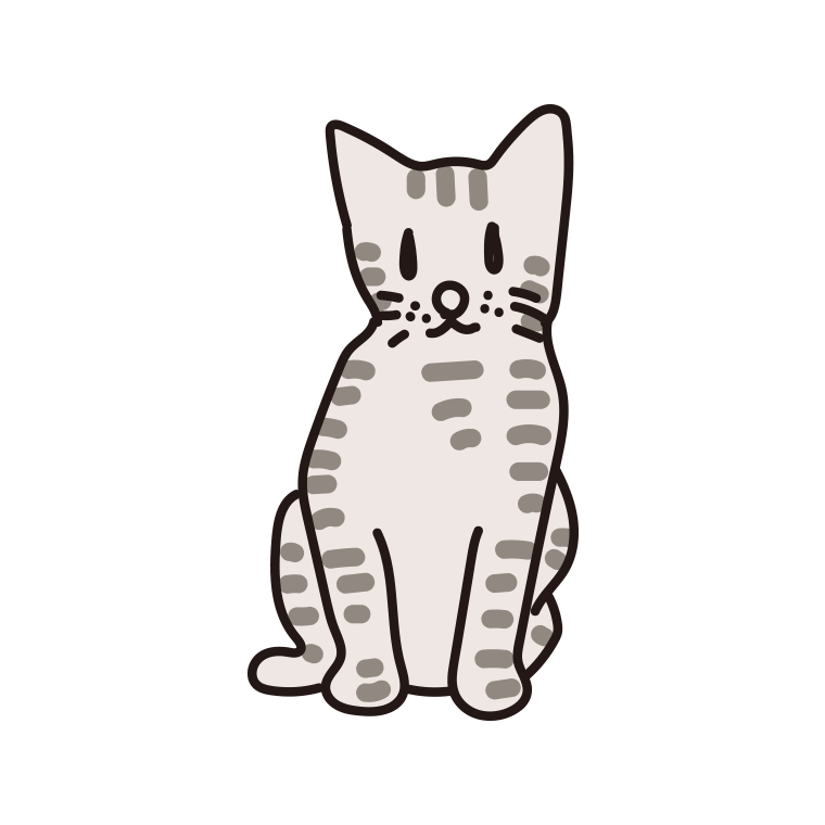 猫（アメリカンショートヘア）のイラスト【色あり、背景なし】透過PNG