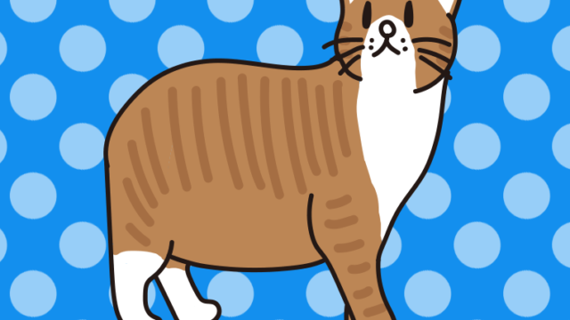 猫（マンクス）のイラスト【色、背景あり】PNG