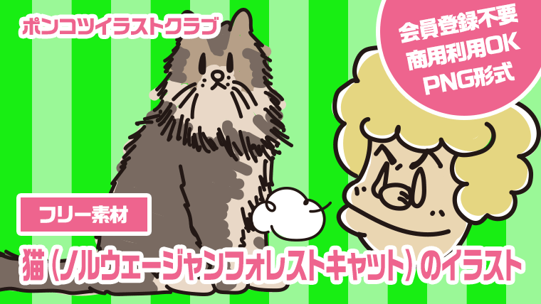 【フリー素材】猫（ノルウェージャンフォレストキャット）のイラスト