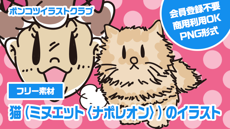 【フリー素材】猫（ミヌエット〈ナポレオン〉）のイラスト