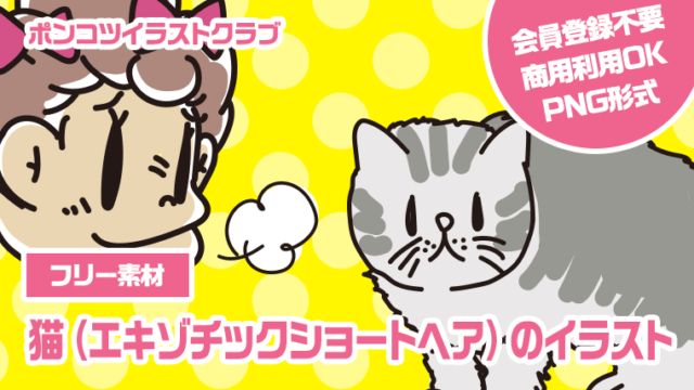 【フリー素材】猫（エキゾチックショートヘア）のイラスト