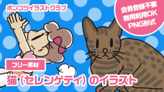 【フリー素材】猫（セレンゲティ）のイラスト