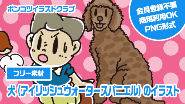 【フリー素材】犬（アイリッシュウォータースパニエル）のイラスト