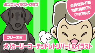 【フリー素材】犬（カーリーコーテッドレトリバー）のイラスト