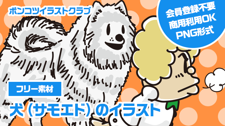 【フリー素材】犬（サモエド）のイラスト