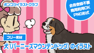 【フリー素材】犬（バーニーズマウンテンドッグ）のイラスト