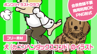 【フリー素材】犬（カニンヘンダックスフンド）のイラスト