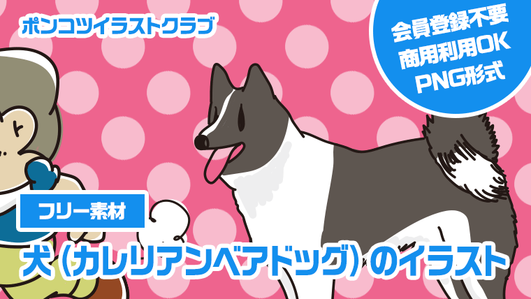 【フリー素材】犬（カレリアンベアドッグ）のイラスト