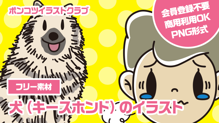 【フリー素材】犬（キースホンド）のイラスト