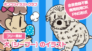 【フリー素材】犬（シープー）のイラスト