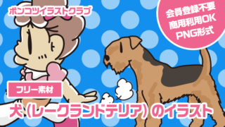 【フリー素材】犬（レークランドテリア）のイラスト