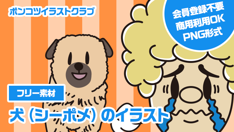 【フリー素材】犬（シーポメ）のイラスト