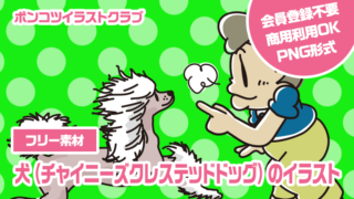 【フリー素材】犬（チャイニーズクレステッドドッグ）のイラスト