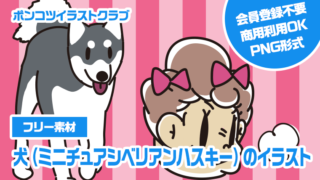 【フリー素材】犬（ミニチュアシベリアンハスキー）のイラスト