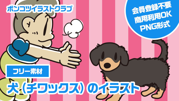 【フリー素材】犬（チワックス）のイラスト