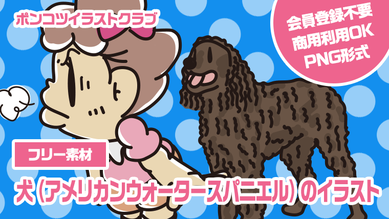 【フリー素材】犬（アメリカンウォータースパニエル）のイラスト