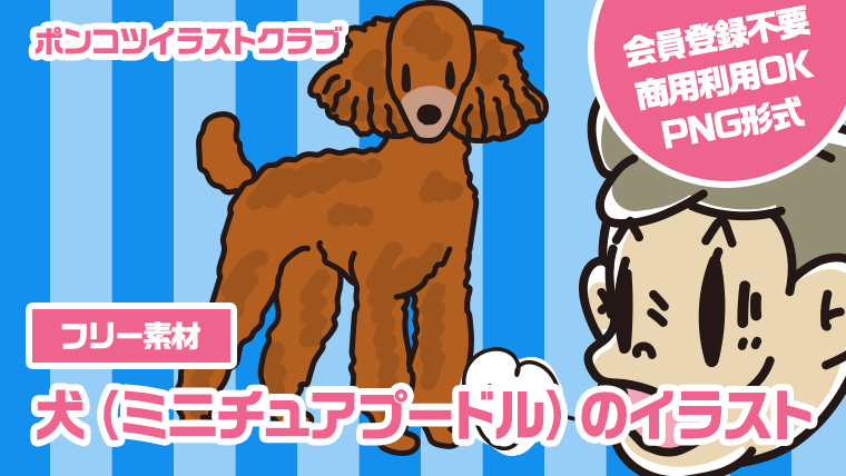 【フリー素材】犬（ミニチュアプードル）のイラスト