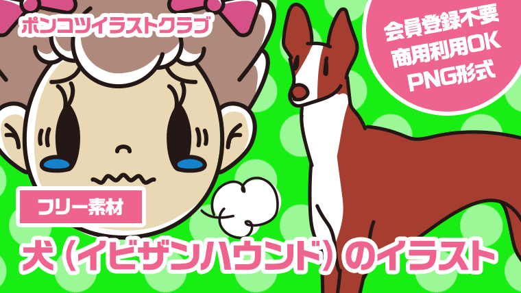 【フリー素材】犬（イビザンハウンド）のイラスト