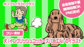 【フリー素材】犬（イングリッシュコッカースパニエル）のイラスト