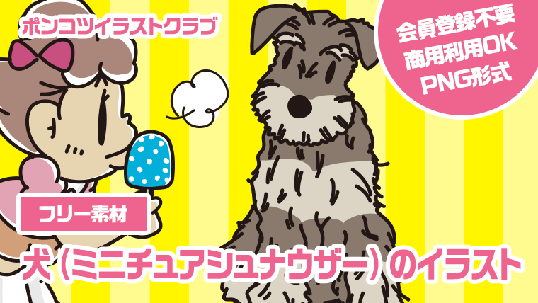 【フリー素材】犬（ミニチュアシュナウザー）のイラスト