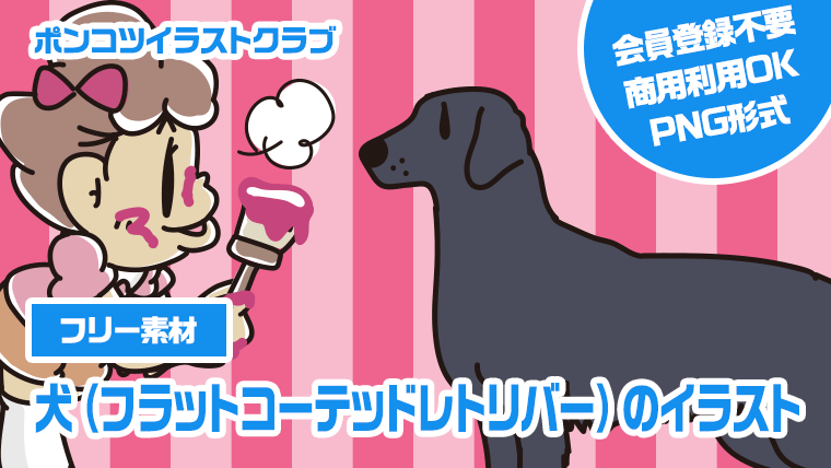 【フリー素材】犬（フラットコーテッドレトリバー）のイラスト