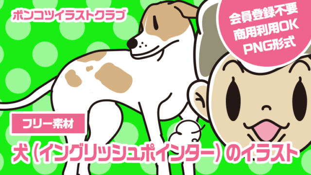 【フリー素材】犬（イングリッシュポインター）のイラスト