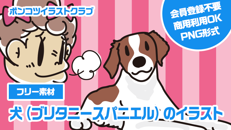 【フリー素材】犬（ブリタニースパニエル）のイラスト