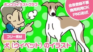 【フリー素材】犬（ウィペット）のイラスト