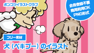 【フリー素材】犬（ペキプー）のイラスト