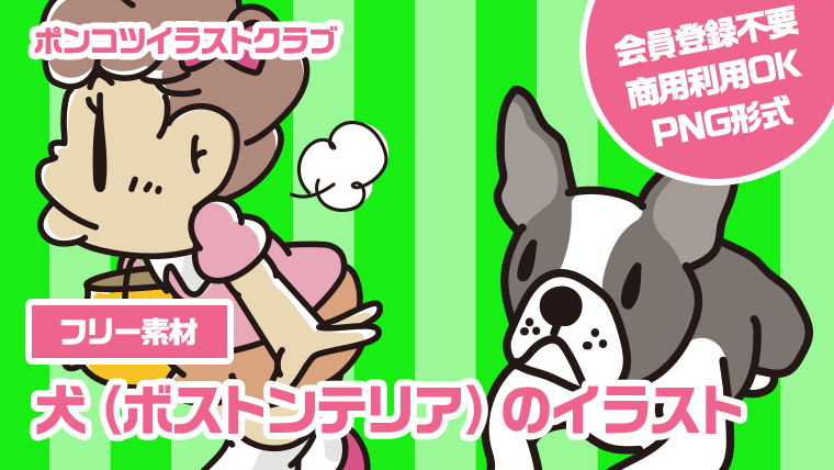 【フリー素材】犬（ボストンテリア）のイラスト