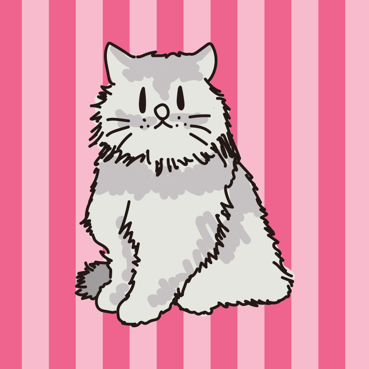猫（チンチラ）のイラスト【色、背景あり】PNG