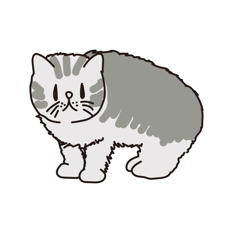 猫（エキゾチックショートヘア）のイラスト【色あり、背景なし】透過PNG