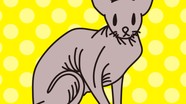 猫（スフィンクス）のイラスト【色、背景あり】PNG