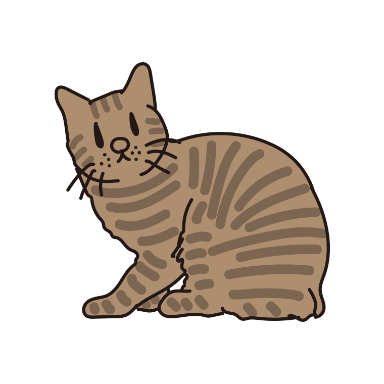 猫（ピクシーボブ）のイラスト【色あり、背景なし】透過PNG