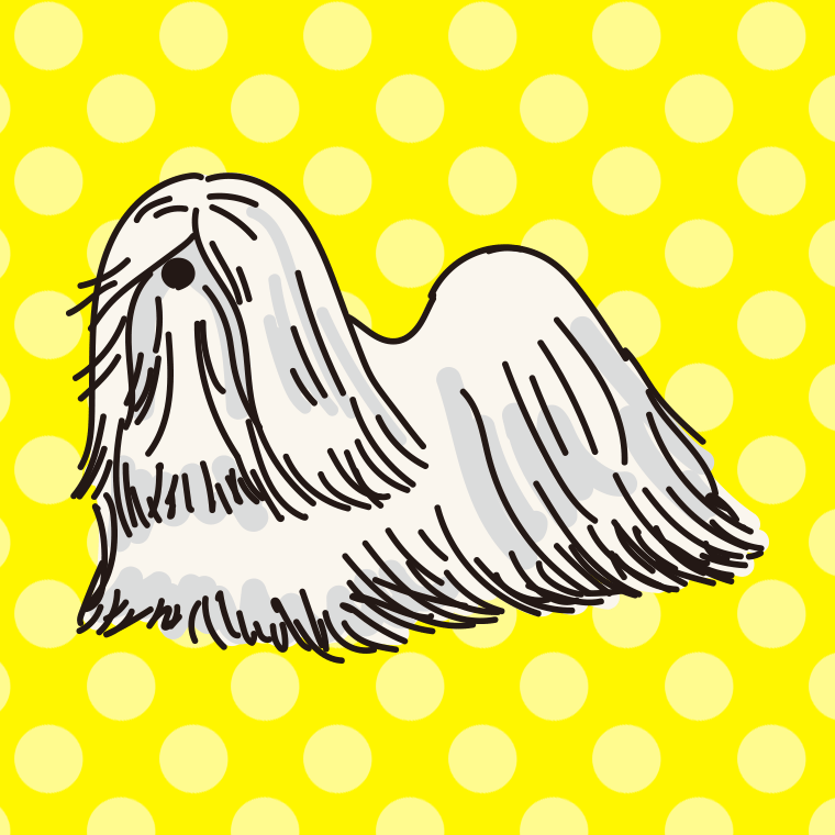 犬（ラサアプソ）のイラスト【色、背景あり】PNG