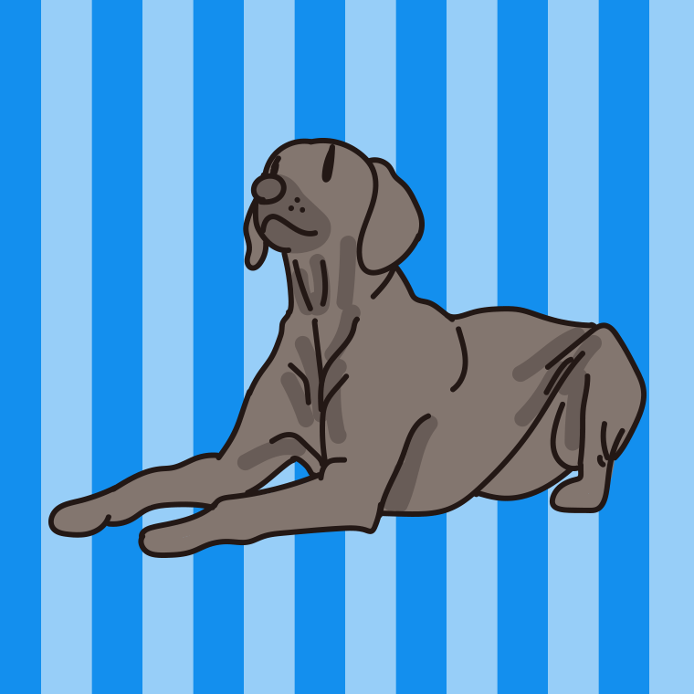 犬（ワイマラナー）のイラスト【色、背景あり】PNG