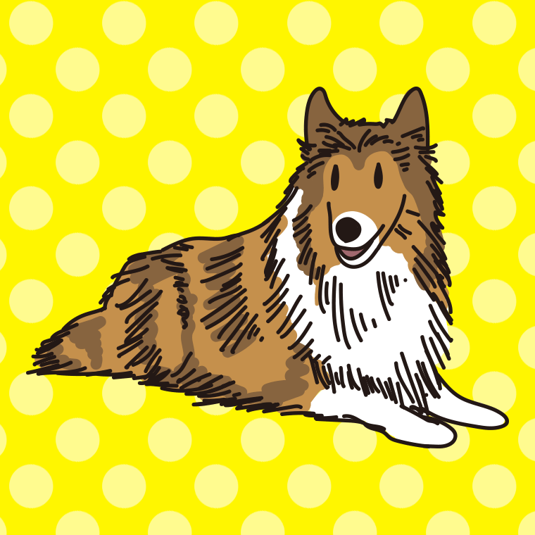 犬（ラフコリー）のイラスト【色、背景あり】PNG