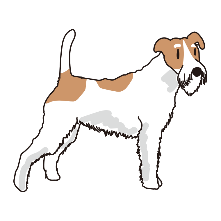 犬（ワイヤーフォックステリア）のイラスト【色あり、背景なし】透過PNG