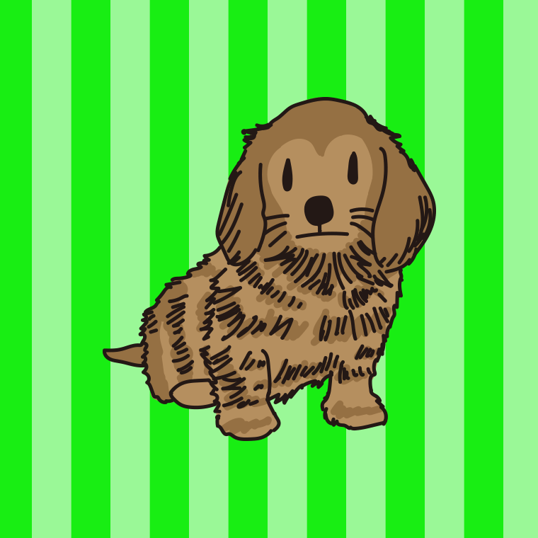 犬（カニンヘンダックスフンド）のイラスト【色、背景あり】PNG