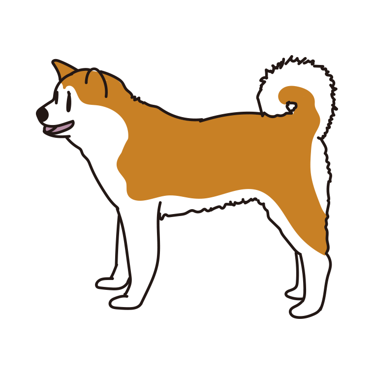 犬（秋田犬）のイラスト【色あり、背景なし】透過PNG