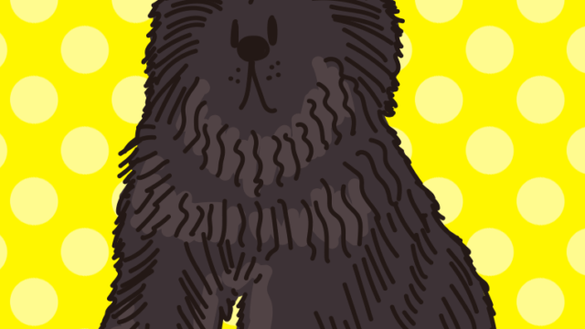 犬（チベタンマスティフ）のイラスト【色、背景あり】PNG