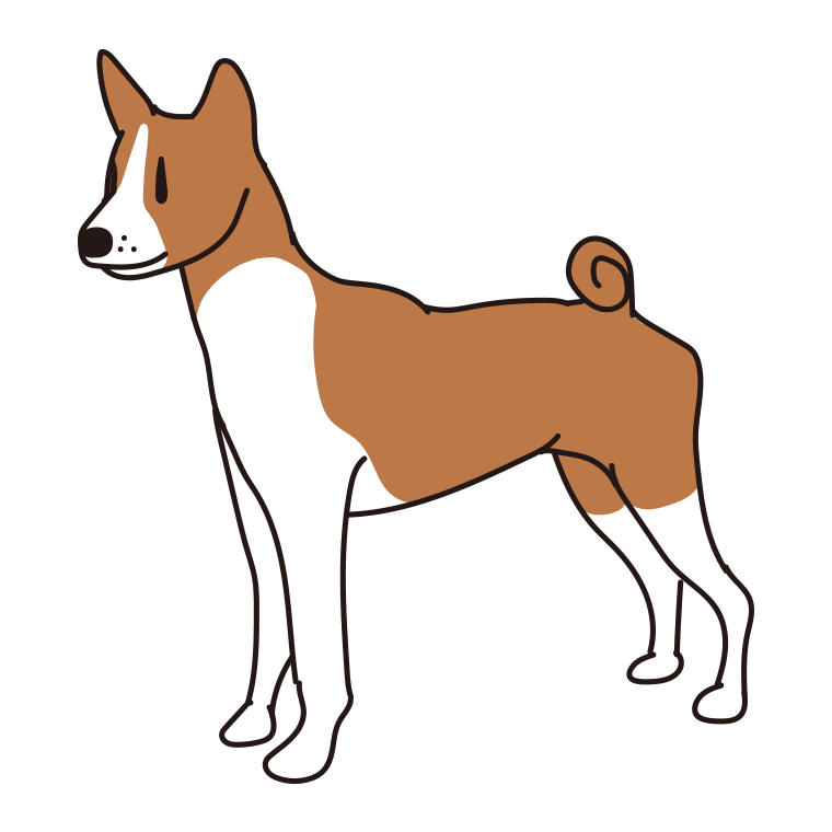 犬（バセンジー）のイラスト【色あり、背景なし】透過PNG