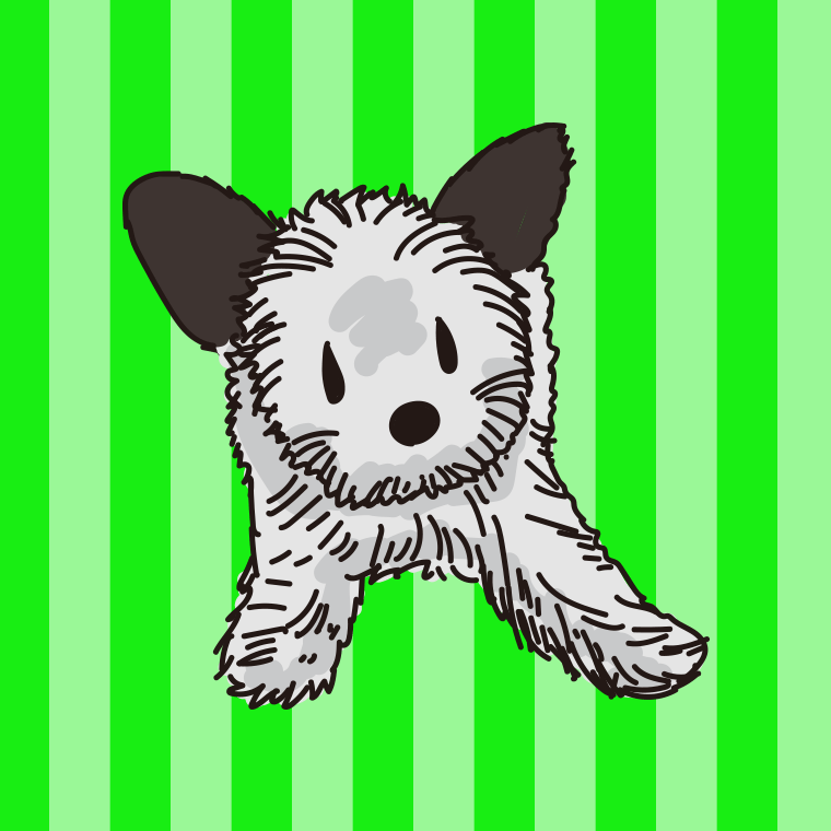 犬（マルパピ）のイラスト【色、背景あり】PNG